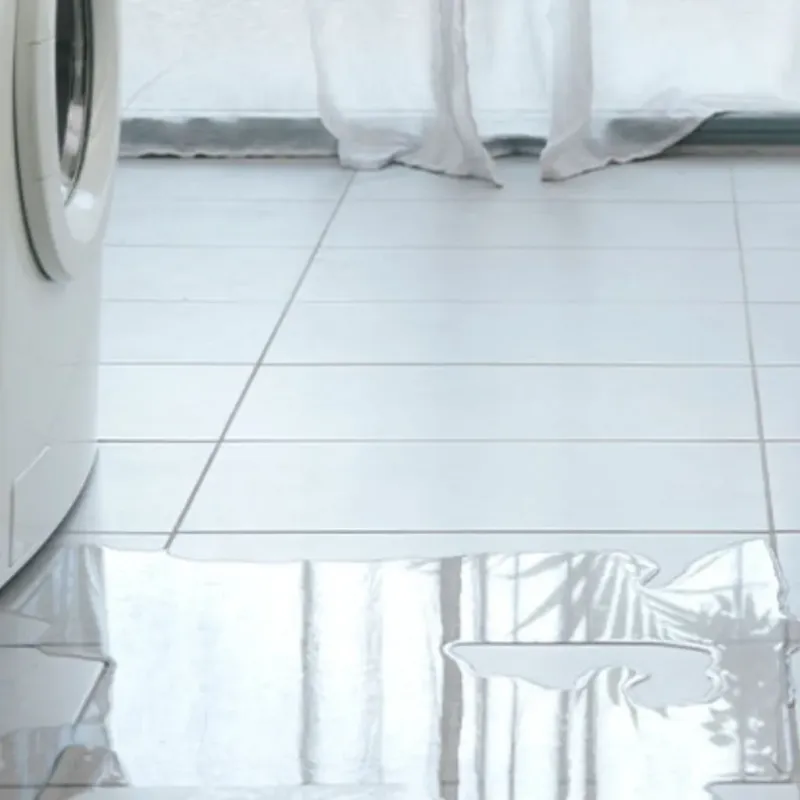 Appliance Leak Cleanup in Carol Stream, IL