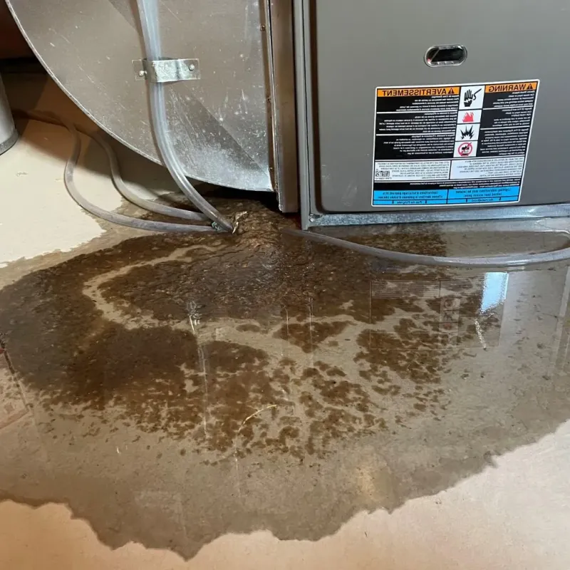 Pipe Burst and Leak Restoration in Carol Stream, IL