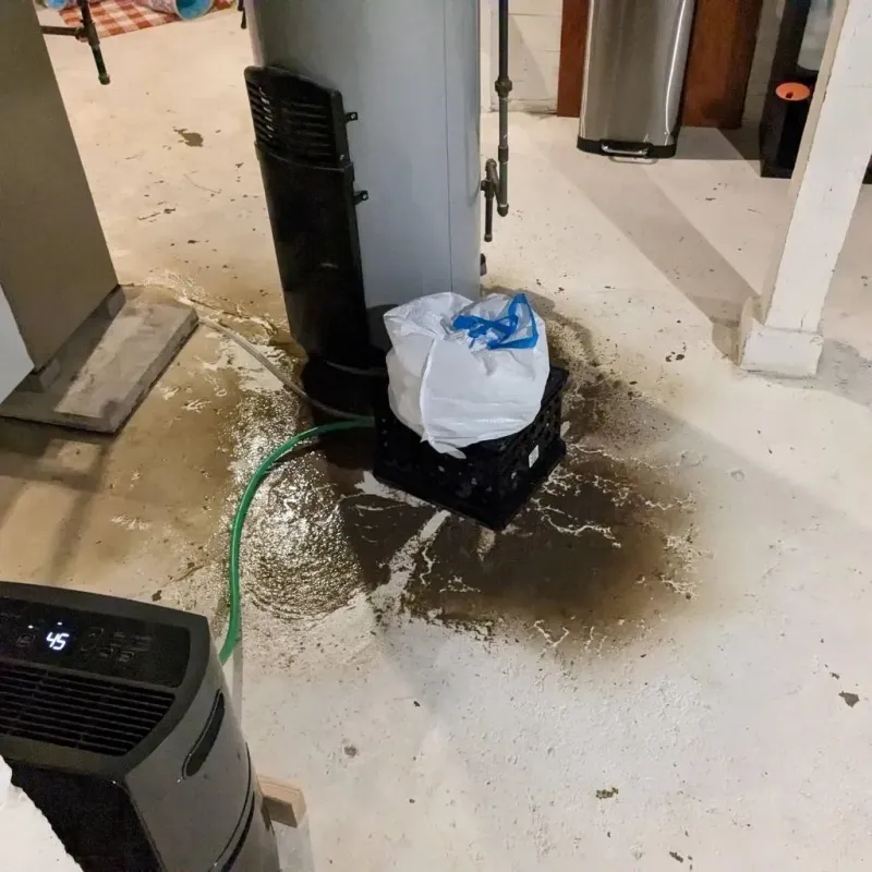 Sewage Backup Cleanup Service in Carol Stream, IL